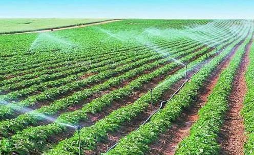 我想看操逼片免费农田高 效节水灌溉
